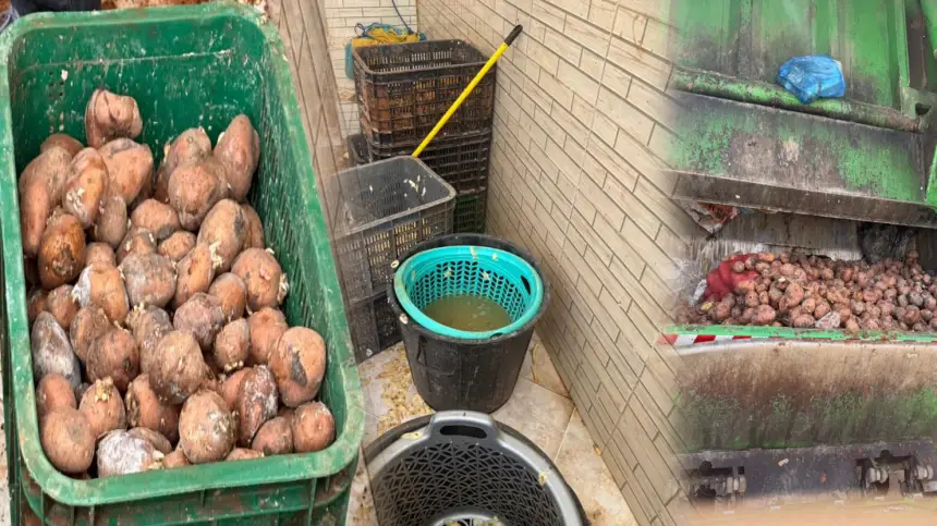 ضربة معلم.. قائد مقاطعة طابولة بتطوان يُسقط معملا سريا للبطاطا الملوثة الموجهة للمطاعم (صور)